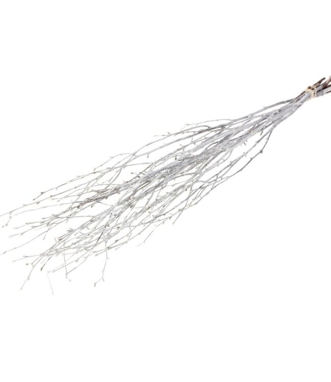 Branches de bouleau séchées blanc brumeux | Longueur ± 60 cm | Disponible par 10 branches