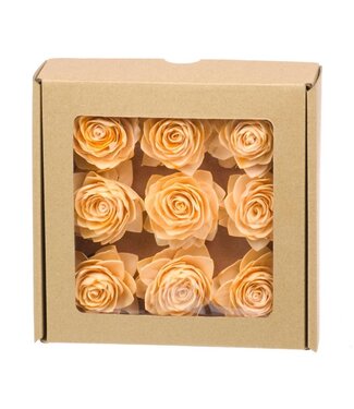 Dried Sola rose 'Lotus' 6cm 9 pieces coral colour misty