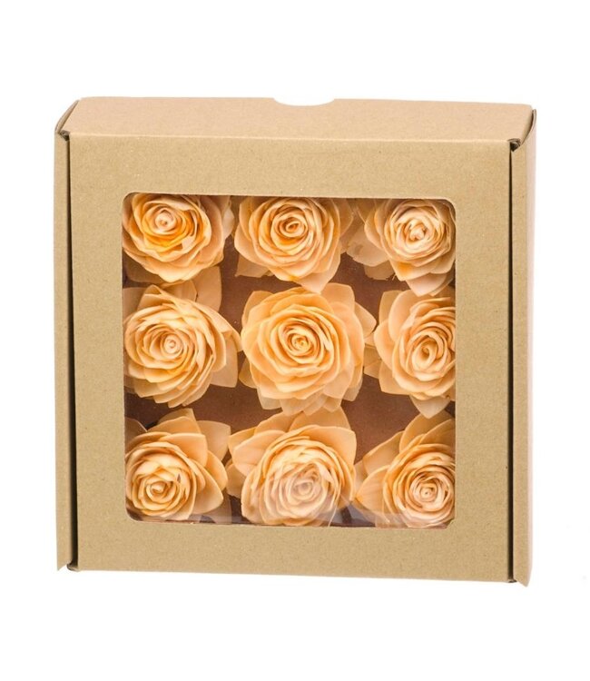 Sola rose 'Lotus' couleur corail fleurs sèches brumeuses | Longueur ± 6 cm | Disponible par boîte de 9 pièces