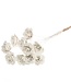 MyFlowers Dried wooden rose 5cm 40cm wired 10 pieces white silver glitt.