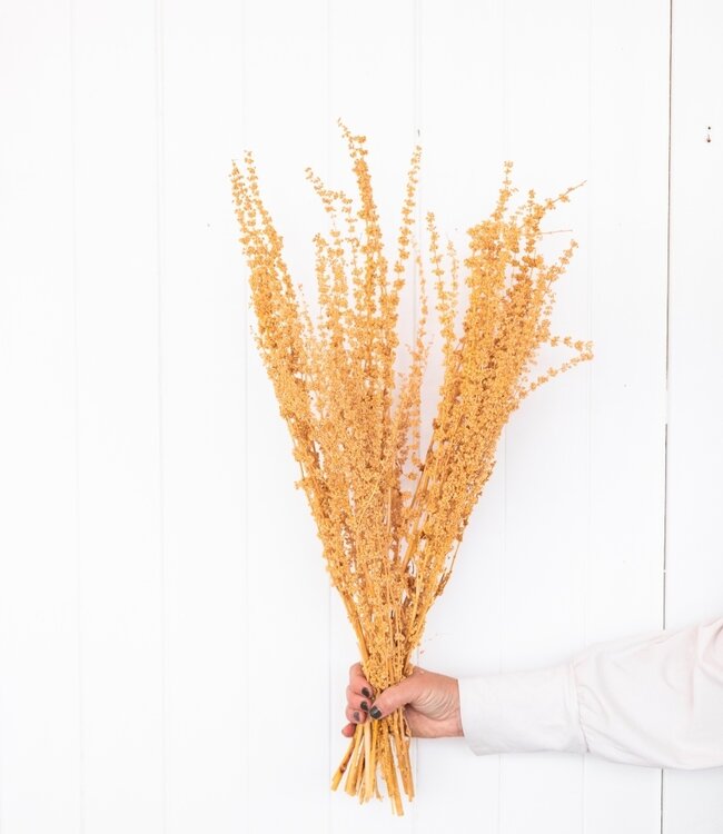 Palak stick blanc blanchi fleurs séchées | Longueur ± 70 cm | Disponible par bouquet