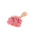 MyFlowers Dried Marcela pink