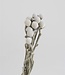 Brunia Silver droogbloemen | Lengte ± 40 cm | Per bos verkrijgbaar