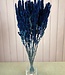Amaranthus donkerblauwe droogbloemen | Lengte ± 60 cm | Per bos verkrijgbaar