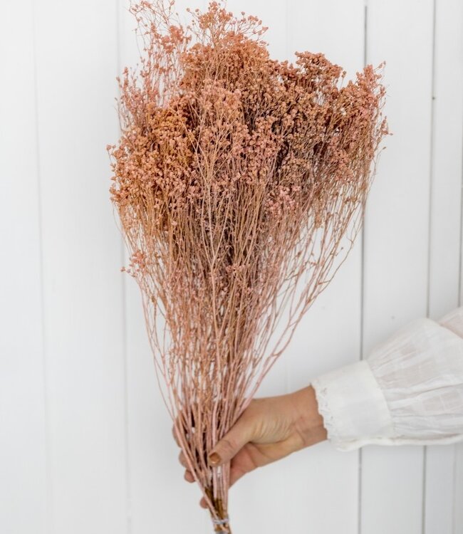 Broom bloom fleurs séchées rose tendre | Longueur ± 70 cm | Disponible par bouquet