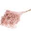 Broom bloom soft pink dried flowers | Length ± 70 cm | Available per bunch