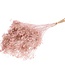 Broom bloom zacht roze droogbloemen | Lengte ± 70 cm | Per bos verkrijgbaar