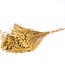 Broom bloom natural dried flowers | Length ± 50 cm | Available per bunch