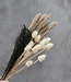 Chardons séchés et blanchis Cardi Palustris 55 cm par bouquet