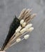 Dried and bleached thistles Cardi Palustris 55 cm per bunch