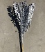 Ruscus 'Di Natalia' fleurs séchées argentées | Longueur ± 70 cm | Disponible par bouquet