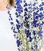 Dried blue Delphinium Larkspur dry flowers 70cm per bunch