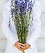Delphinium bleu séché Larkspur fleurs sèches 70cm par bouquet