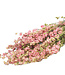 Gedroogde Delphinium Ridderspoor roze 70 cm