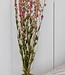 Delphinium Larkspur rose séché 70 cm par bouquet