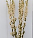 Getrockneter weißer Rittersporn Delphinium getrocknete Blumen pro Strauß