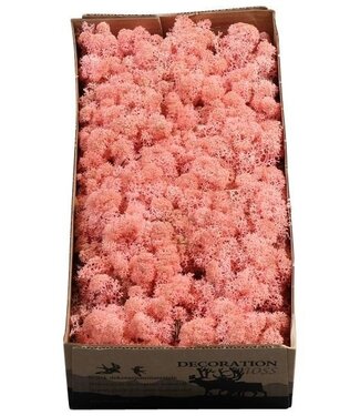 Roze IJslands rendiermos | 500 gram gedroogd mos