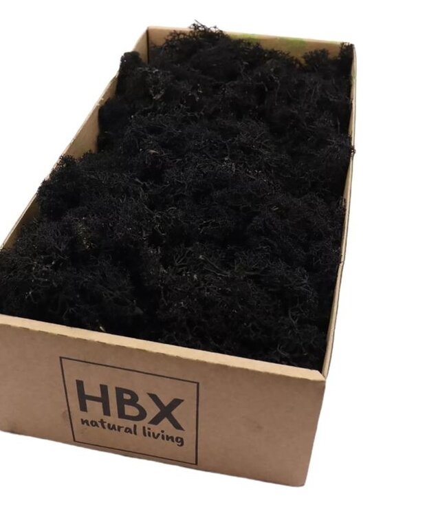 Icelandic reindeer moss black preserved | 500 g | Available per box