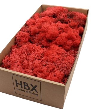 Reserved reindeer moss red