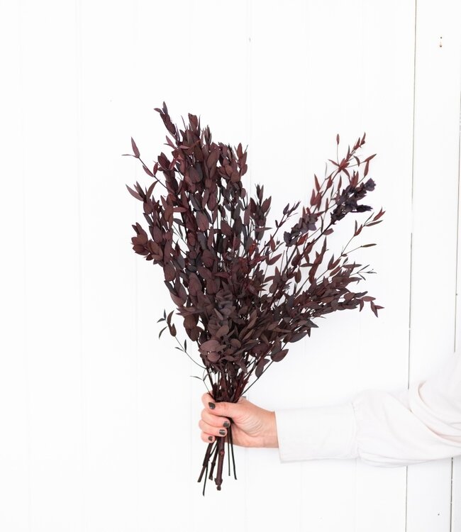 Dried preserved Eucalyptus Parvifolia red per bunch