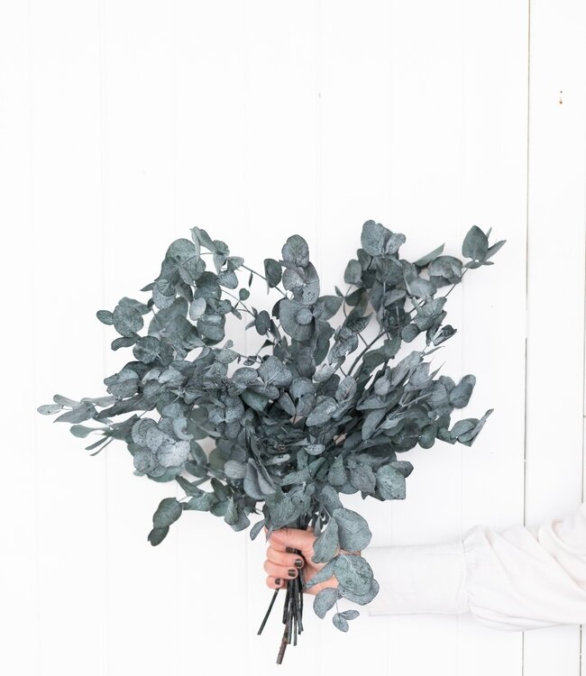 Réservé vert Eucalyptus Cinerea | Longueur ± 65 cm | Disponible par bouquet