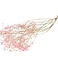 MyFlowers Dried Gypsophila pink