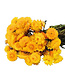Getrocknete gelbe Helichrysum-Strohblumen getrocknete Blüten pro Strauß