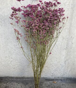 MyFlowers Getrocknete Limonium Diamant alte Rose