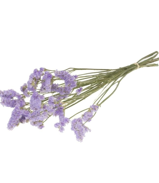 Statice sinuata natürliche lila Trockenblumen | Länge ± 70 cm | Erhältlich pro Strauß