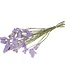 MyFlowers Dried Statice sinuata natural lilac