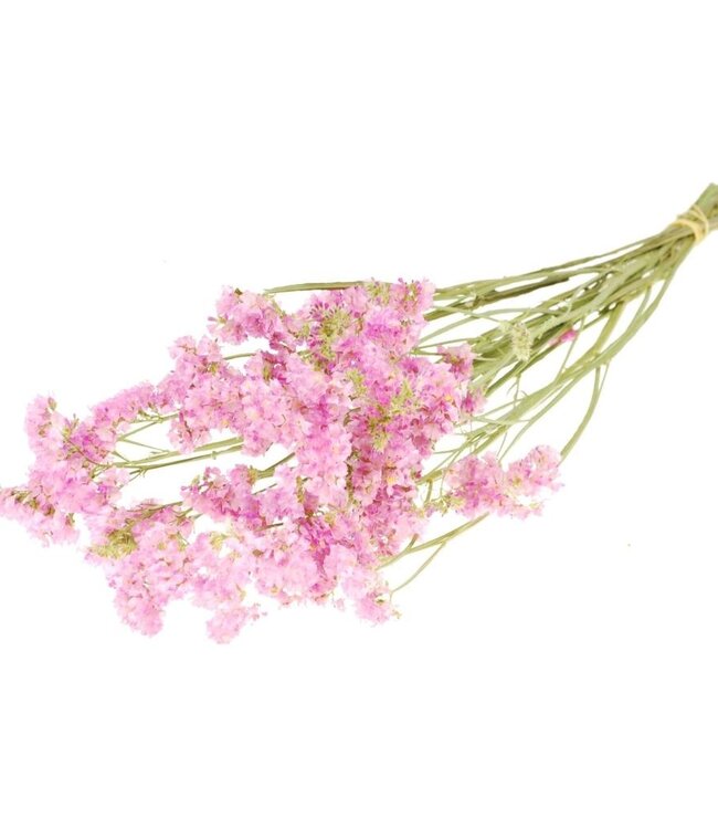 Statice sinuata natural light pink dried flowers | Length ± 70 cm | Available per bunch
