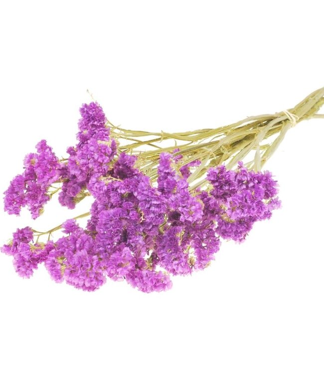 Statice sinuata natural dark pink dried flowers | Longueur ± 70 cm | Disponible par bouquet