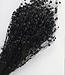Dried flax (Linum) black | Length ± 50 cm