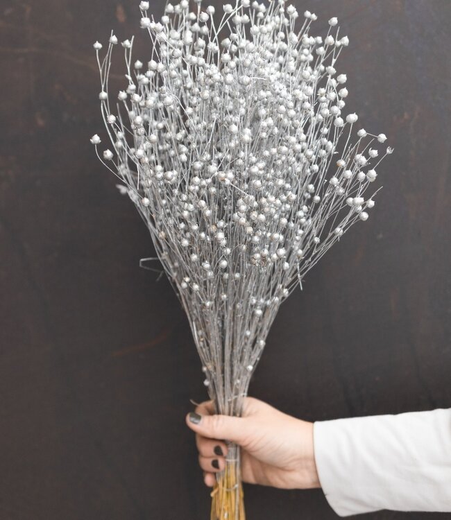 Flachs (Linum) Silber getrocknete Blüten | Länge ± 55 cm | Erhältlich pro Strauß