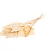 Dried bleached palm leaves spear-shaped 10 pieces