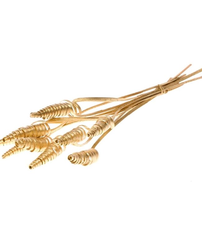Cane cone goudkleurige droogbloemen | Lengte ± 60 cm | Per bos verkrijgbaar