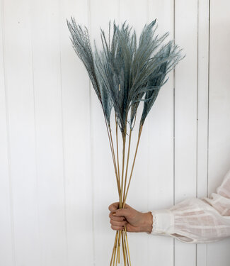 MyFlowers Dried Stipa 60cm light blue