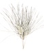 MyFlowers Dried Palm sun big 5 pcs bunch white misty