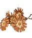 Protea (repens) s/cut 5 stuks natuurlijk droogbloemen | Lengte ± 45 cm | Per bos verkrijgbaar