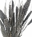 Dried black Setaria dried flowers per bunch