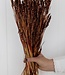 Wheat intense brown dry flowers | Length ± 70 cm