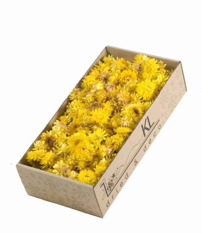 Gedroogde Helichrysum koppen geel | 100 gram per doos