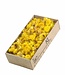 Getrocknete Helichrysum-Köpfe gelb