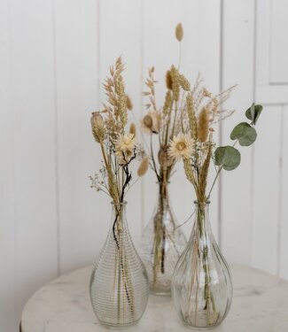 MyFlowers Set Loua Naturel | 3 vaasjes droogbloemen naturel