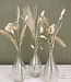 Set Loua Natural | 3 vases including natural dried flowers