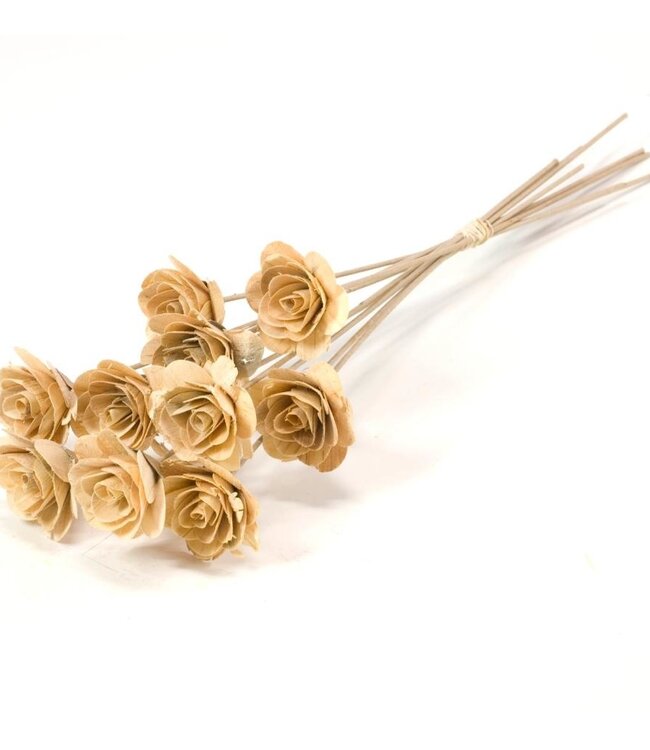 Ten wooden roses on a stick | 55 centimetres
