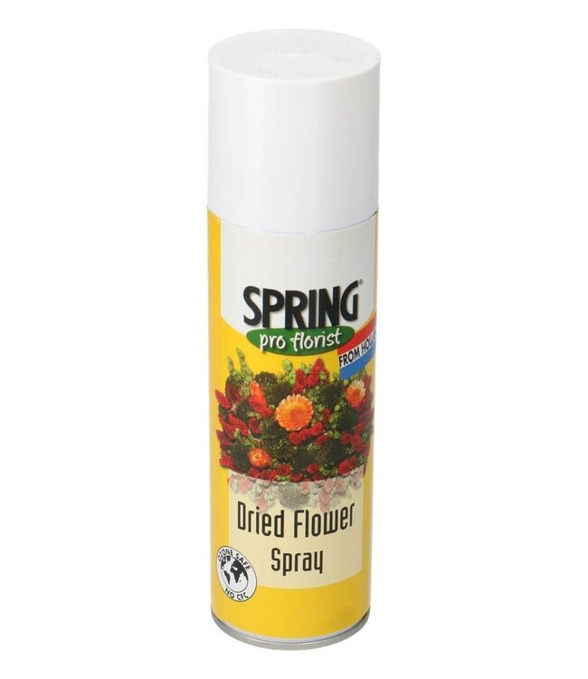 Spray professionnel pour fleurs séchées | Protège les fleurs séchées