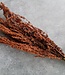 Getrockneter natürlicher Palak Stick Lidstrich getrocknete Blumen pro Strauß