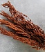 Dried natural Palak Stick Eyelid stick dried flowers per bunch