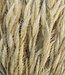 Bromus Trockenblumen | Getrocknete Soft Dravik | Länge 65 Zentimeter